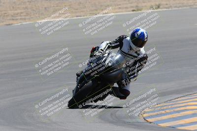 media/Apr-09-2023-SoCal Trackdays (Sun) [[333f347954]]/Turn 10 (115pm)/